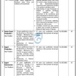 Ministry of Energy Jobs Opportunities (Petroleum Division), Government of Pakistan 2025