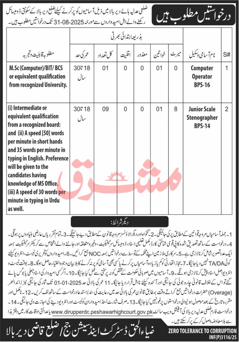 District and Session Court Dir Bala Jobs 2025 – Apply Now for Computer Operator and Stenographer Post