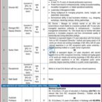 KMU Jobs 2025 – Online Application for Faculty and Admin Vacancies