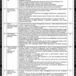 Ministry of Climate Change Jobs 2025 Announced