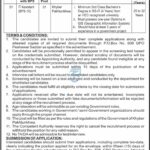Home 7 KP Govt IT Assistant Job 2024 – BPS-16, GIS Diploma Required