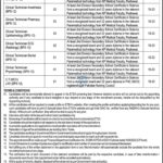 DHQ Hospital Bajaur Jobs 2025 – Apply Online via ETEA | Latest Paramedical Staff Vacancies