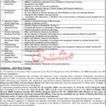 Medical Teaching Institution (MTI) Dera Ismail Khan Jobs 2025 – Latest Vacancies in Burn & Plastic Surgery Unit | Apply Now