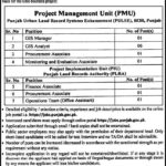 Board of Revenue Punjab Jobs 2025 – Apply Online for PULSE Project Vacancies