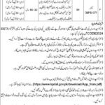 KP Directorate of Archives & Libraries Jobs 2025 - Complete Guide for Applicants