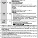 Exciting Jobs at Hayatabad Medical Complex, Peshawar – Apply Now!