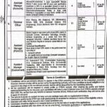 PESCO Jobs 2026 93+ Vacancies for SDO, Assistant Managers & Revenue Officers