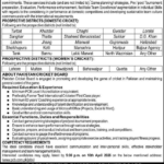 Latest Jobs in Pakistan 1 PCB Jobs 2026 Apply for Domestic & Women Cricket Coaching Positions – Career Opportunity