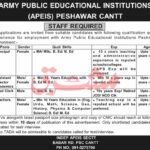 Army Public Educational Institutions (APEIS) Jobs Peshawar Cantt 2026