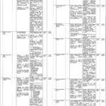 C&W Department Punjab Jobs 2026 - Communication & Works (C&W) Department Jobs 2026 – PPP Node Vacancies