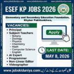 ESEF KP Jobs 2026- Elementary & Secondary Education Foundation KPK Jobs 2026 – Online Apply Now