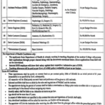 Faculty Jobs 2026 - Mohtarma Benazir Bhutto Shaheed Medical College, Mirpur AJ&K