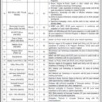 Ministry of NHSR&C Jobs 2026 – 91+ Vacancies at CMU Islamabad