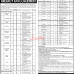 NIH Islamabad Jobs 2026: Vacancy Overview