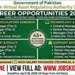 PVARA Jobs 2026 - 45+ positions at Pakistan Virtual Asset Regulatory Authority – Apply Online