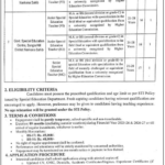 STIs Jobs 2026 - Special Education Department Punjab Jobs 2026 Apply Now