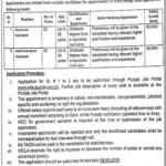 Vacancy Announcement: Walled City of Lahore Authority (WCLA) Jobs 2026