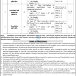 KPK Excise and Taxation Jobs 2026 Apply Online