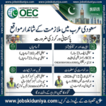 OEC Saudi Arabia Jobs 2026 - Safety Officer & Supervisor Jobs 2026