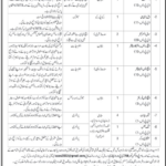 Public Sector Jobs 2026 Rawalpindi - Apply at PO Box 766 GPO Rawalpindi