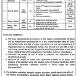 Sardar Begum Teaching Hospital Sialkot Jobs 2026 - Apply Now for Government Jobs in Sialkot 2026