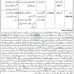 KP Forest Department Swat Jobs 2026